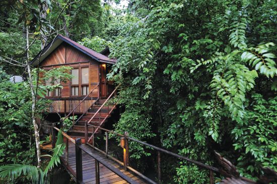 Japamala Resort à Île Tioman:  Jungle Luxe Sarang