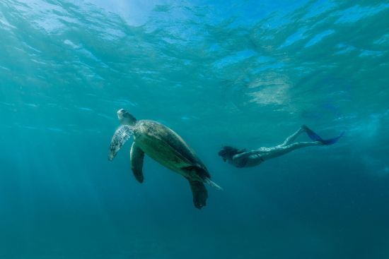 Amanpulo à Palawan:  Snorkeling 