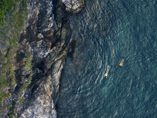 El Nido Resorts Pangulasian Island à Palawan:  Snorkeling