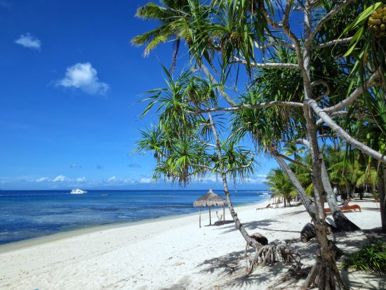 Coco Grove Beach Resort à Siquijor: beach: