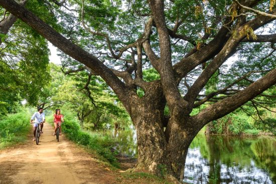 Uga Ulagalla à Anuradhapura:  Cycling