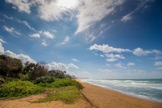 Aditya Resort à Hikkaduwa:  Beach