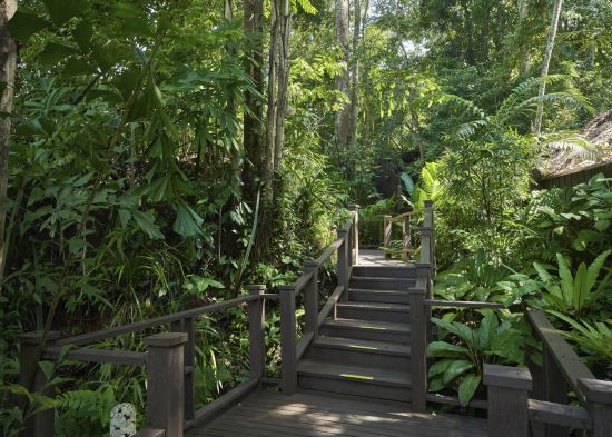 Khaolak Paradise Resort in Khao Lak:  Garden