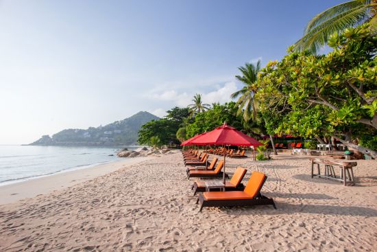 New Star Beach Resort à Ko Samui:  Beach