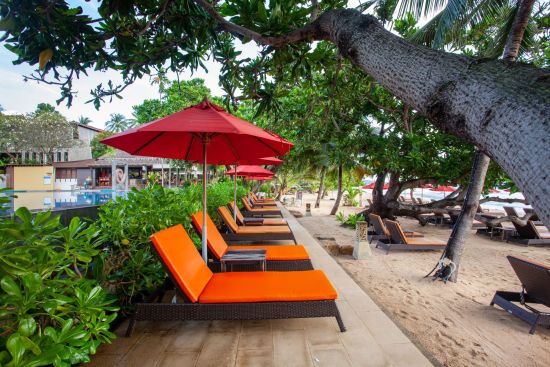 New Star Beach Resort à Ko Samui:  pool: Swimming Pool | Beach