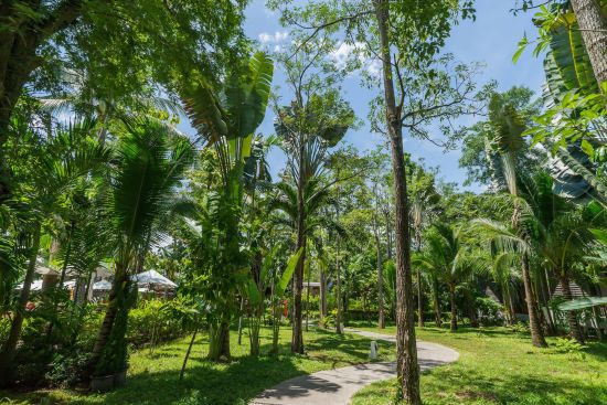 NH Collection Samui Peace Resort à Ko Samui:  In the Garden