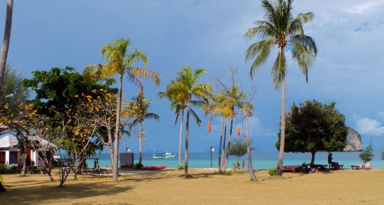 Thanya Resort à Ko Ngai:  Garden and Beach