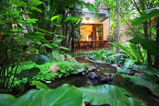 Shewe Wana Boutique Resort & Spa in Chiang Mai:  Garden