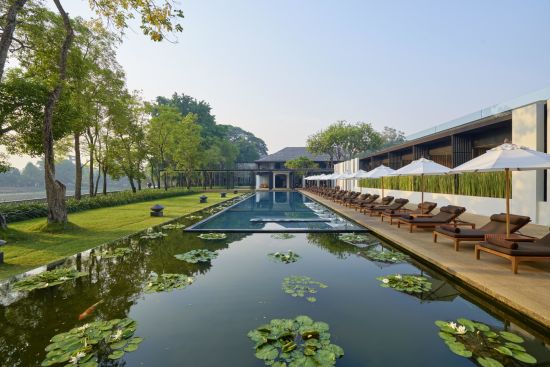 Anantara Chiang Mai Resort:  Pool Lotus Pond