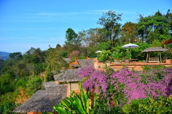 Phu Chaisai Mountain Resort à Mae Chan:  Garden View