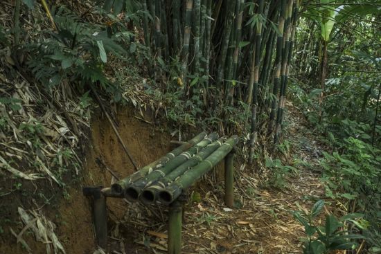 Phu Chaisai Mountain Resort à Mae Chan:  Trekking