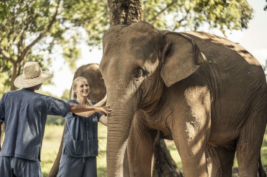 Anantara Golden Triangle Elephant Camp & Resort in Goldenes Dreieck:  Elephant Experience