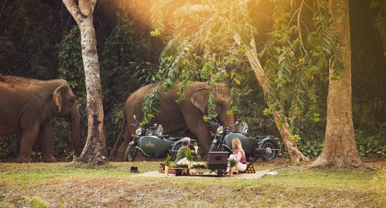 Anantara Golden Triangle Elephant Camp & Resort in Goldenes Dreieck:  Picknick with Elephants