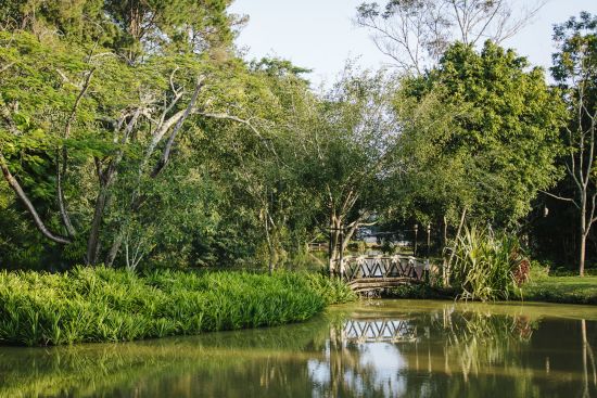 Anantara Golden Triangle Elephant Camp & Resort in Goldenes Dreieck:  Pond