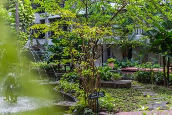 Siam Bayshore in Pattaya:  Garden