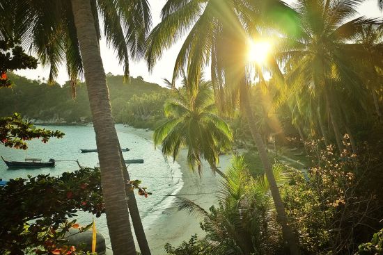 The Beach Club by Haadtien in Ko Tao: beach: 