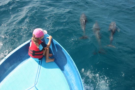Elements Beach & Nature Resort in Kalpitiya:  Dolphin Watching