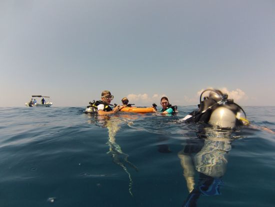 Elements Beach & Nature Resort in Kalpitiya:  Diving