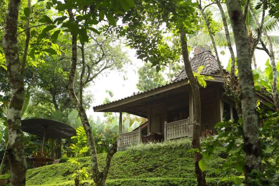 Plataran Borobudur Resort & Spa à Yogyakarta:  Garden Suite