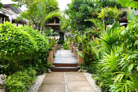 Samui Jasmine Resort in Ko Samui:  Walkway