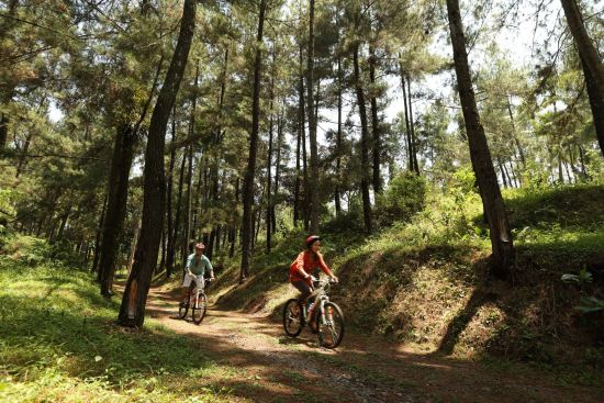 Plataran Borobudur Resort & Spa à Yogyakarta:  Cycling Tour
