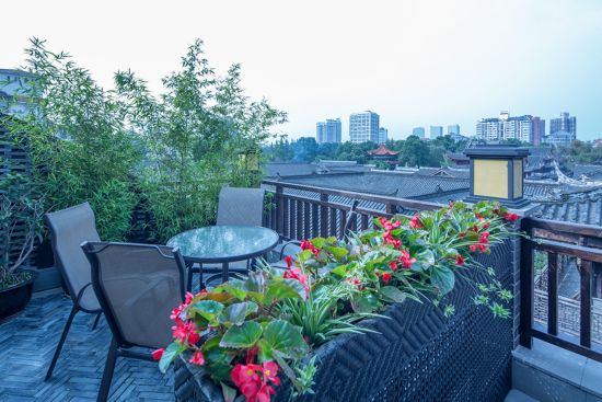 Buddha Zen in Chengdu: f&b: 