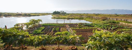 Sanctum Inle Resort à Lac Inle:  garden panoramic
