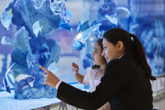 Taj Santacruz in Mumbai:  Fish Tank 