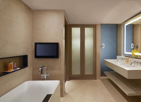 Taj Santacruz in Mumbai:  Luxury City View