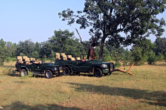 Samode Safari Lodge à Bandhavgarh: activities: