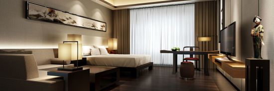 Hyatt Regency in Xian:  Standard
