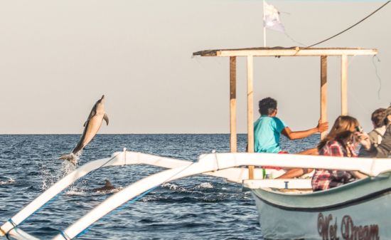 The Lovina Bali à Nord de Bali:  Dolphin watching