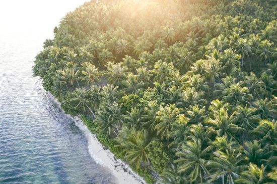 Nay Palad Hideaway in Siargao: Lush Siargao Island