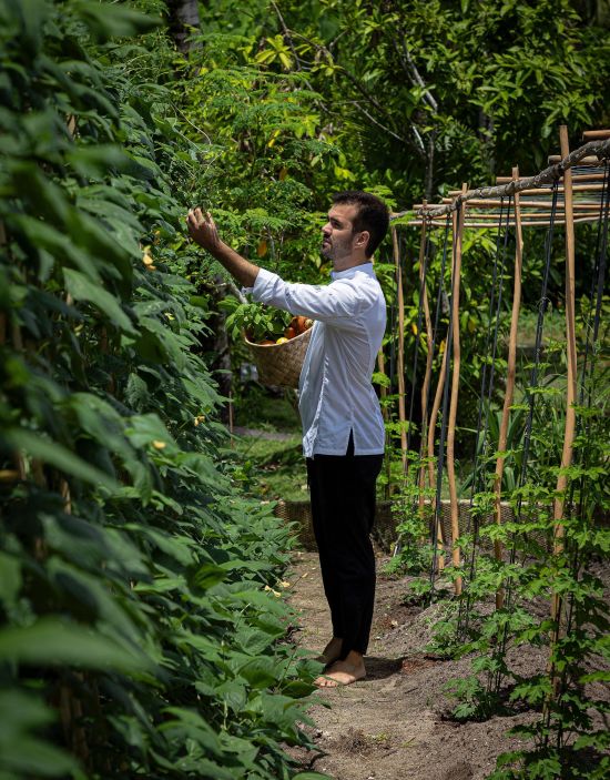 Nay Palad Hideaway in Siargao: Culinary experience organic farm