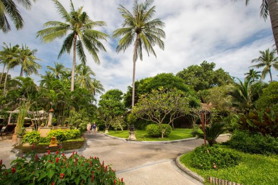 Fair House Beach Resort & Hotel in Ko Samui:  Surrounding | Pathway