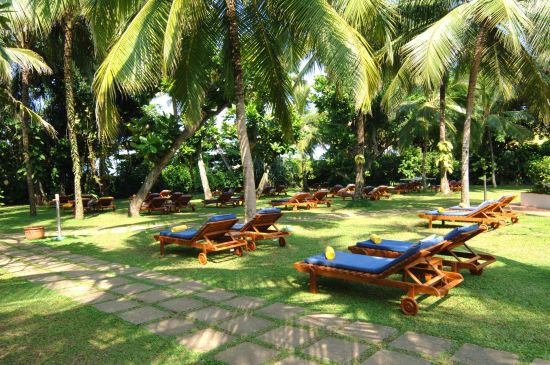 Lanka Princess Ayurveda Hotel in Beruwela:  Garden