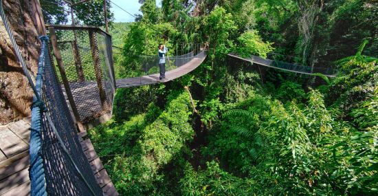 Bungaraya Island Resort in Kota Kinabalu: Canopy Walking