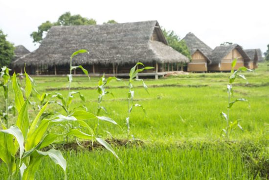 Aliya Resort & Spa à Sigiriya:  Nagula Restaurant
