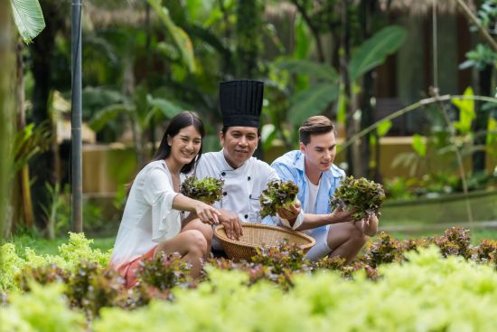 High Season Pool Villa & Spa à Ko Kood:  Organic Garden