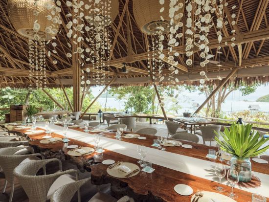 Bawah Reserve:  Treetop