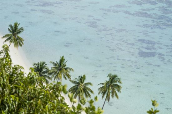 Bawah Reserve:  Bawah Reserve