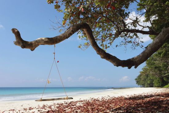 Taj Exotica Resort & Spa, Andamans à Îles Andaman:  Swing at the Beach