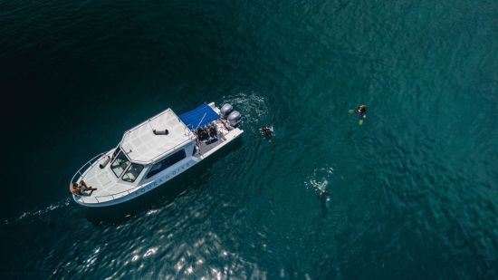 Sudamala Resort Seraya à Labuan Bajo:  Dive boat