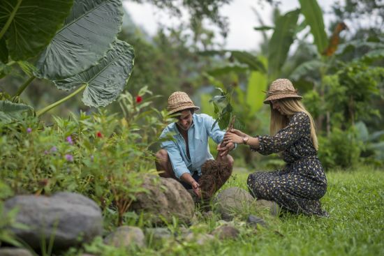 Wapa di Ume Sidemen à Ouest de Bali:  Eco Memories