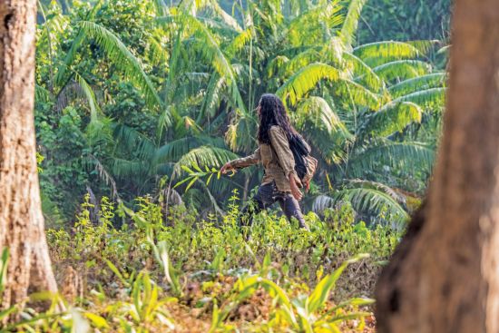 Wa Ale in Mergui Archipel:  Jungle Trail