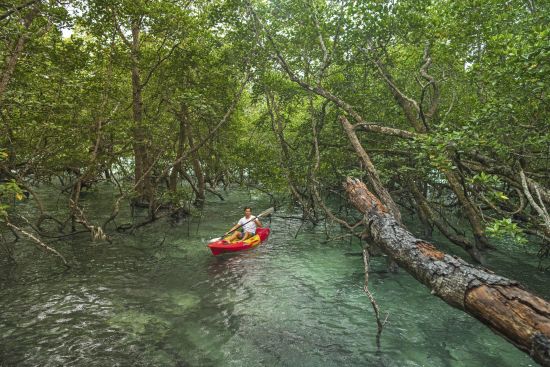Wa Ale in Mergui Archipel:  Kayak