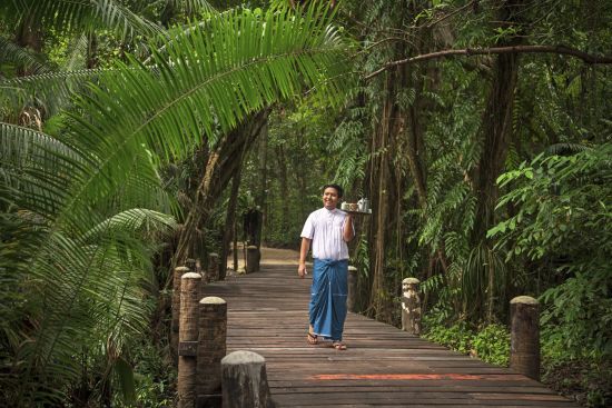 Wa Ale in Mergui Archipel:  Waiter