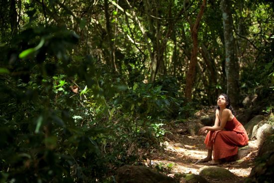 Living Heritage Koslanda in Ella/Haputale/Koslanda:  Beautiful nature walk