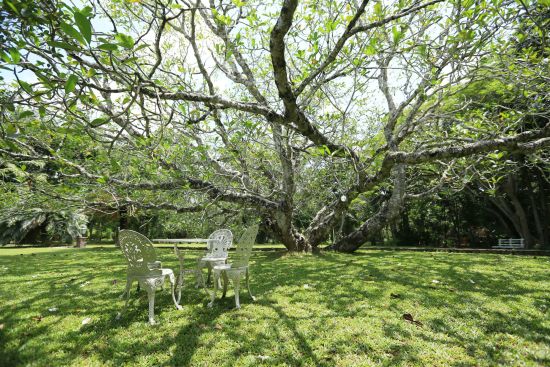 Horathapola Coconut Estate à Yakvila:  garden