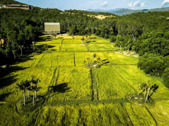 Zannier Hotels Bai San Ho in Quy Nhon:  Rice Paddies